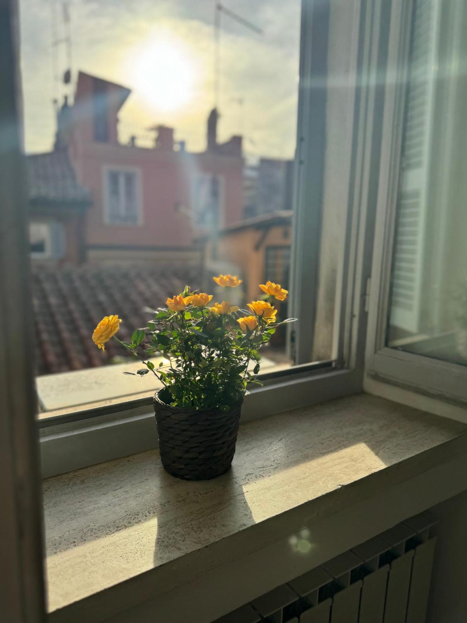Casa vacanze Labanca's Luxury Navona *